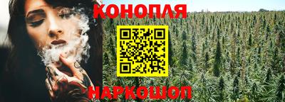 эйфоретик Обь