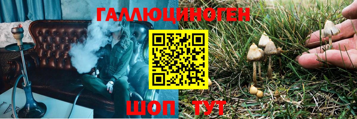 Псилоцибиновые грибы GOLDEN TEACHER Советск