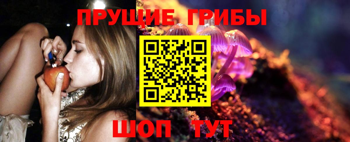 Советск  Галлюциногенные грибы мухоморы  Вход с VPN  Псилоцибиновые грибы Psilocybine cubensis 